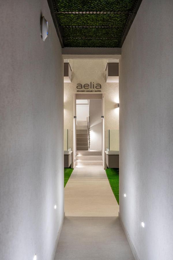 Aelia Seaside Luxury Suites Nea Karvali Eksteriør bilde